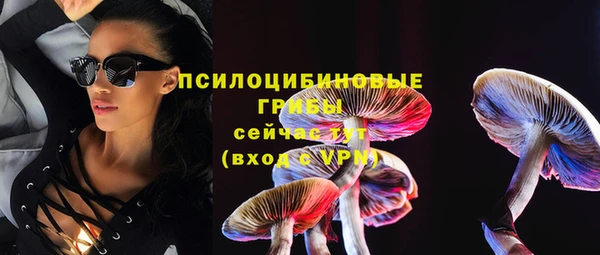 spice Елабуга