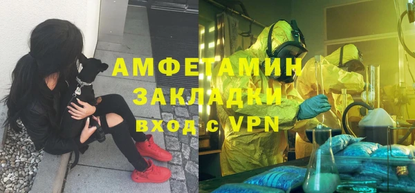 ГАЛЛЮЦИНОГЕННЫЕ ГРИБЫ Дмитров