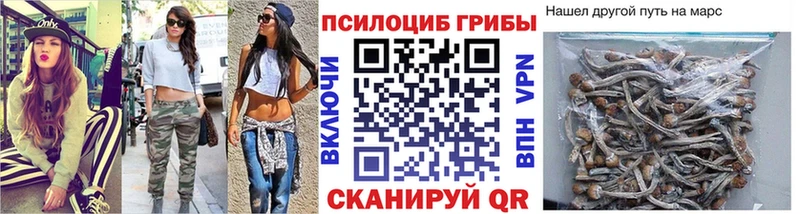 Купить закладки Пересвет Псилоцибиновые грибы ЛСД